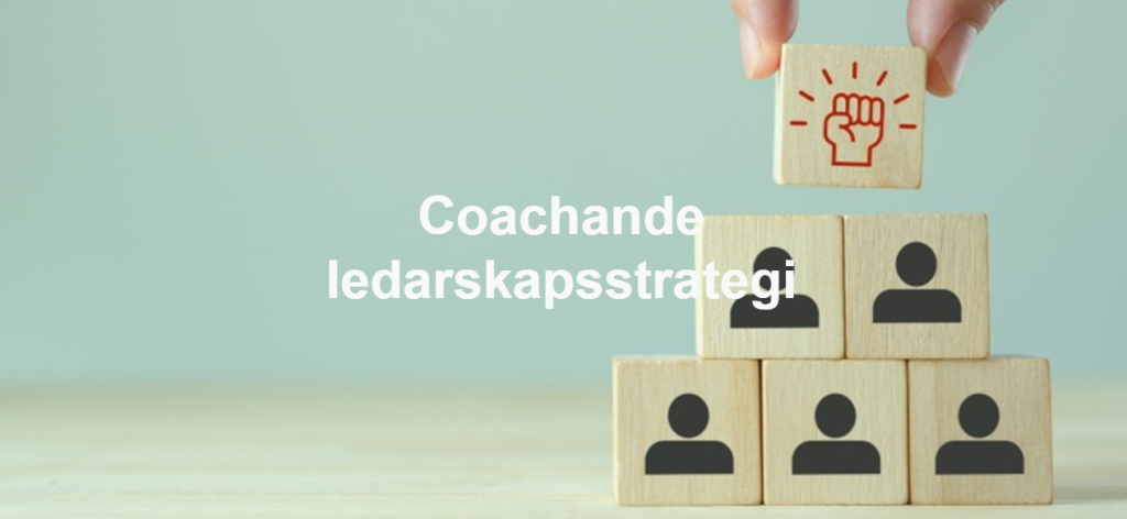 Ledarskapsstrategi